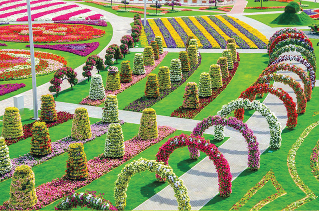 Dubai Miracle Garden