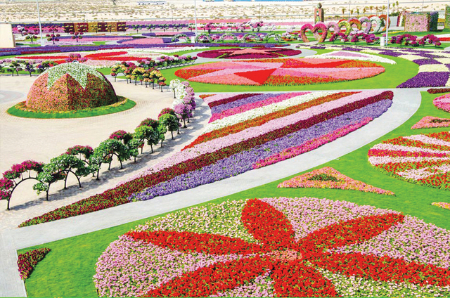 Dubai Miracle Garden