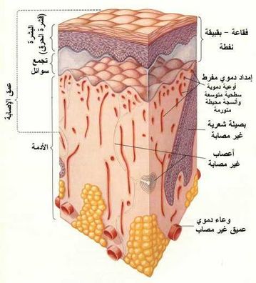 حروق الدرجة الاولى الثانية والثالثة وعلاجها اصابة العين الصعقة الكهربائية