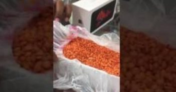 سعودي يشتري هاتف أيفون فوجد حبات العدس