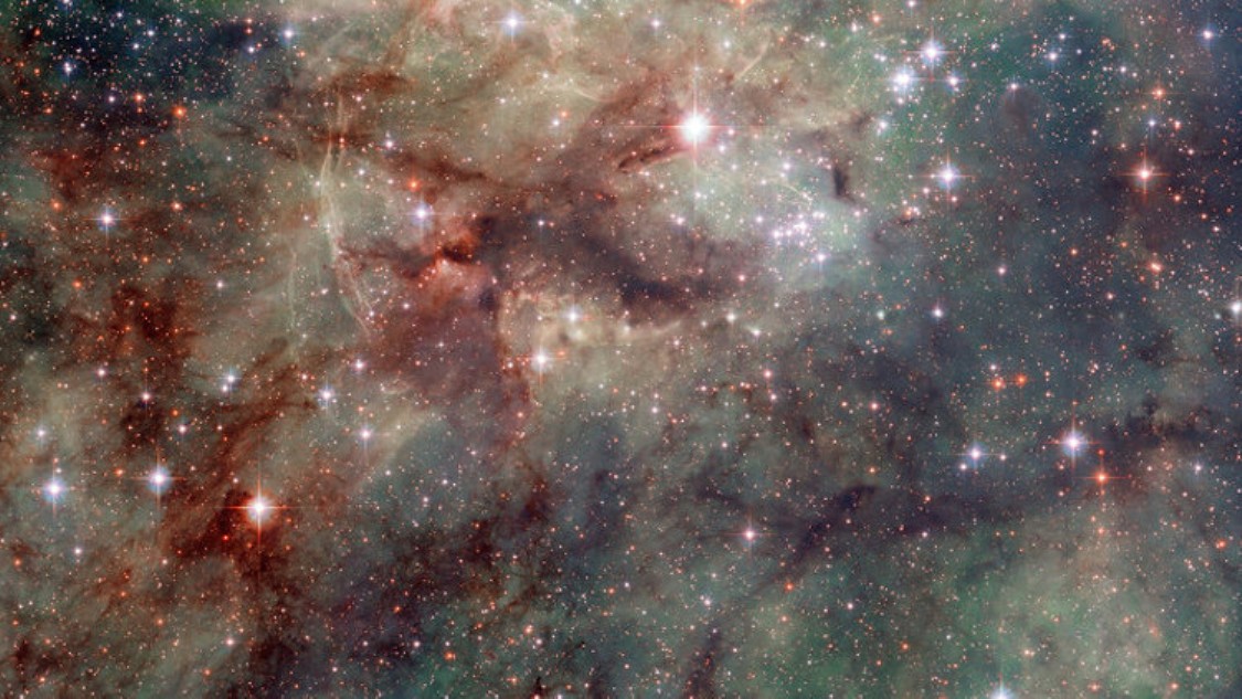 تعرف على النجوم  “الوحشية” التي اكتشفها العلماء Stars