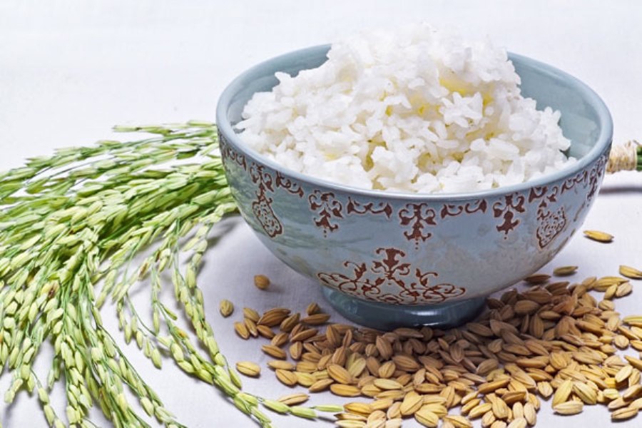 هل الأرز البارد قد يتسبب بقتلك؟ Cold rice